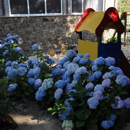 Hotel Gomar San Martín de Moncayo المظهر الخارجي الصورة